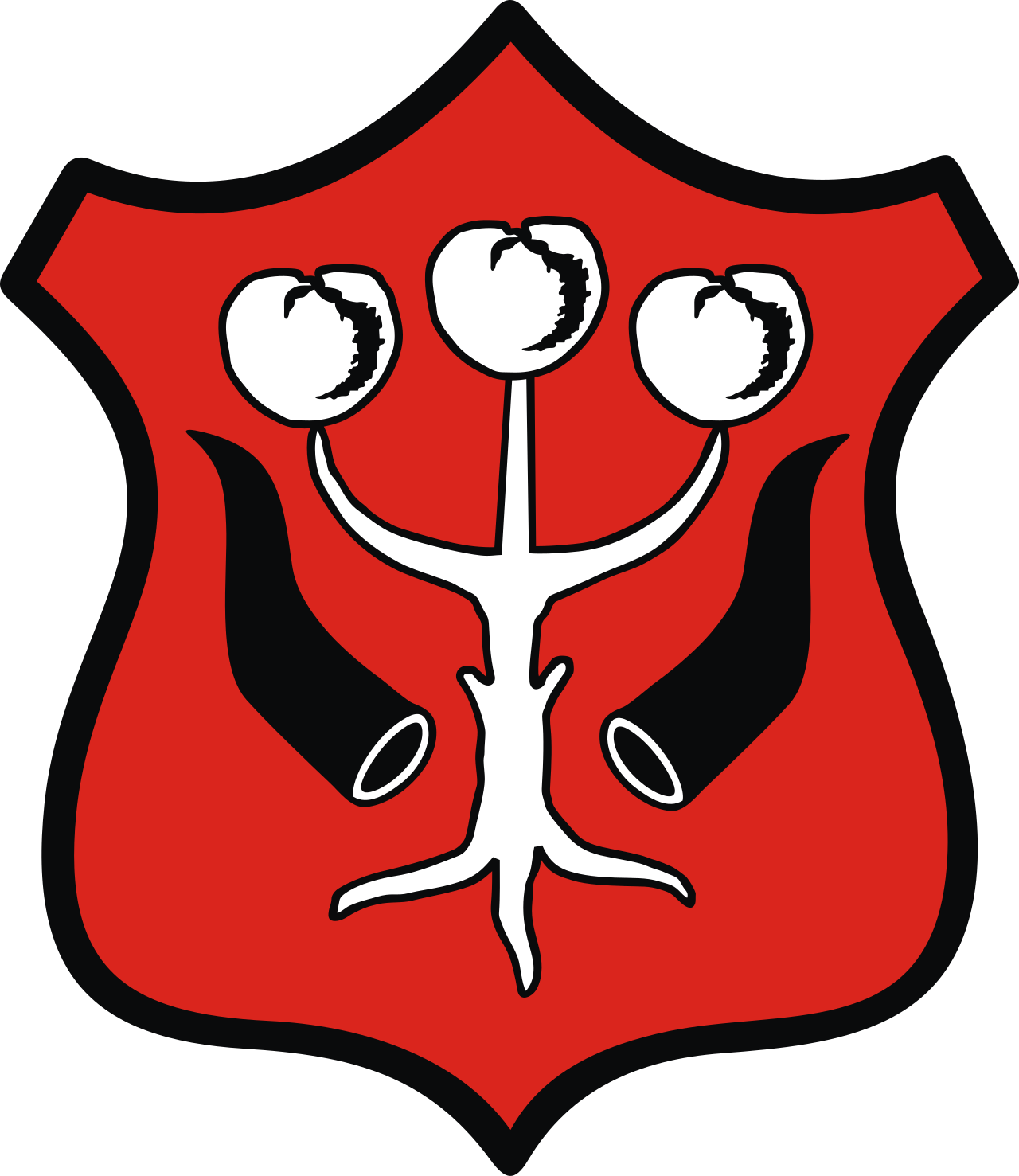 Miasto Garwolin
